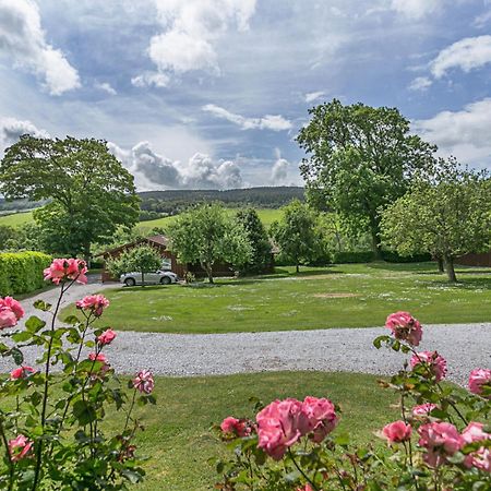 Laburnum Lodge Sleeps 6 Wheelchair Access Minehead Exteriér fotografie
